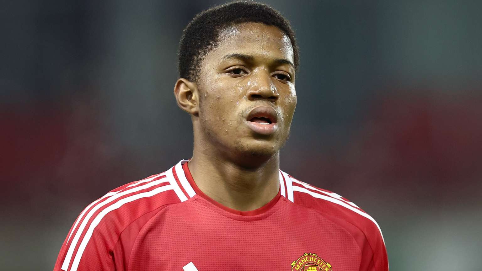 性與耐力的 性與耐力的